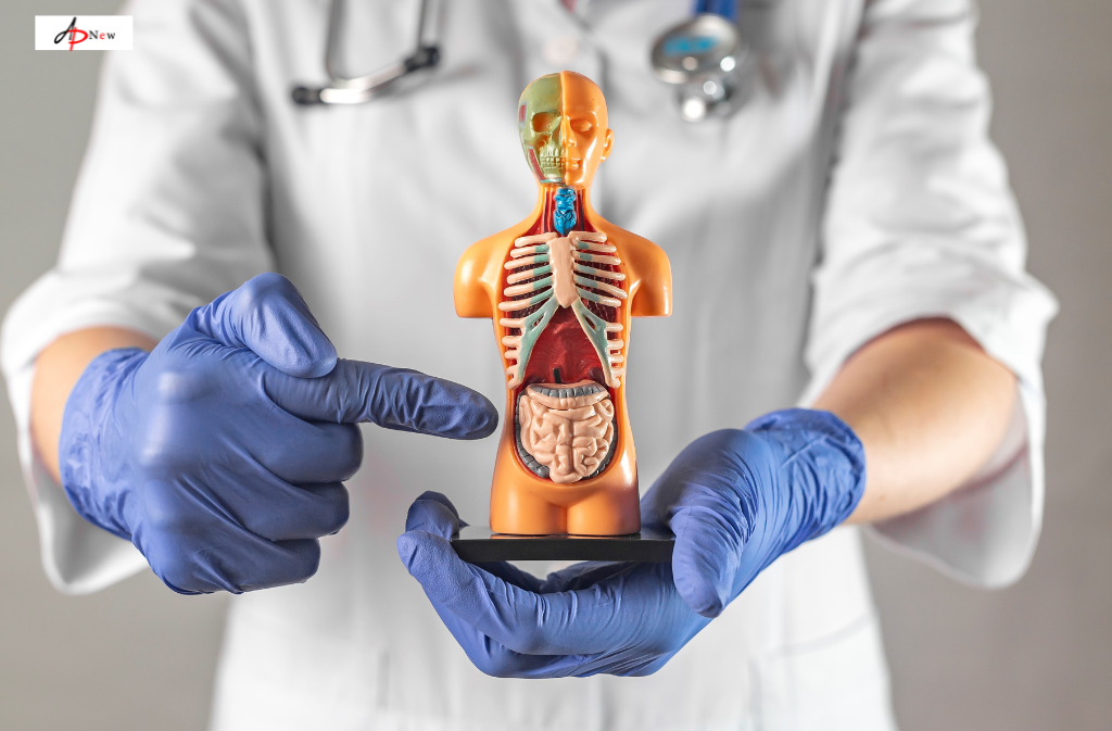 How Much Does a Colonoscopy Cost